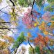seasons